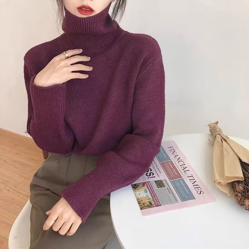 Allure Cozy Turtleneck Sweater